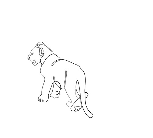 Lion cub one line drawing